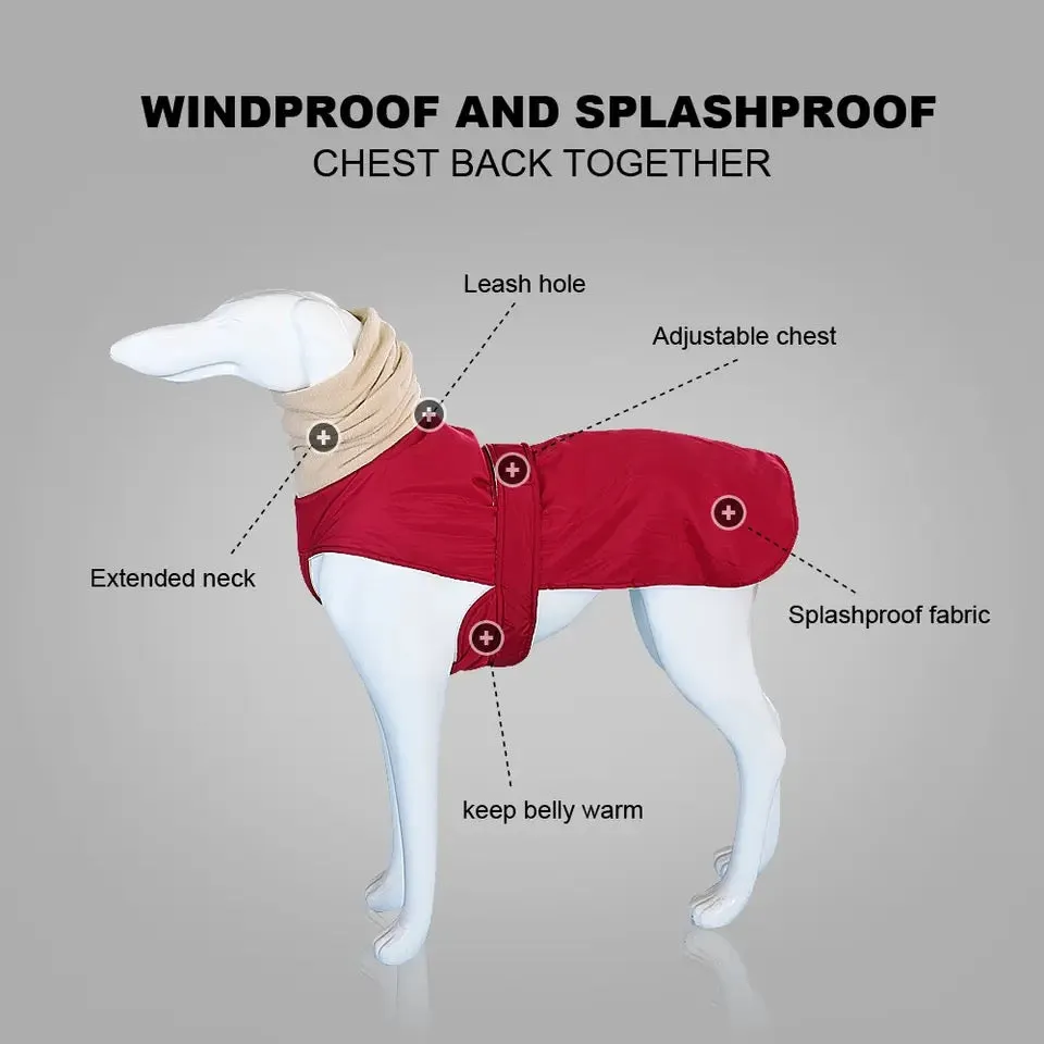 80 70 60cm XL Dog Coat Rug Greyhound ‘Longdog Shape’ 3 Sizes