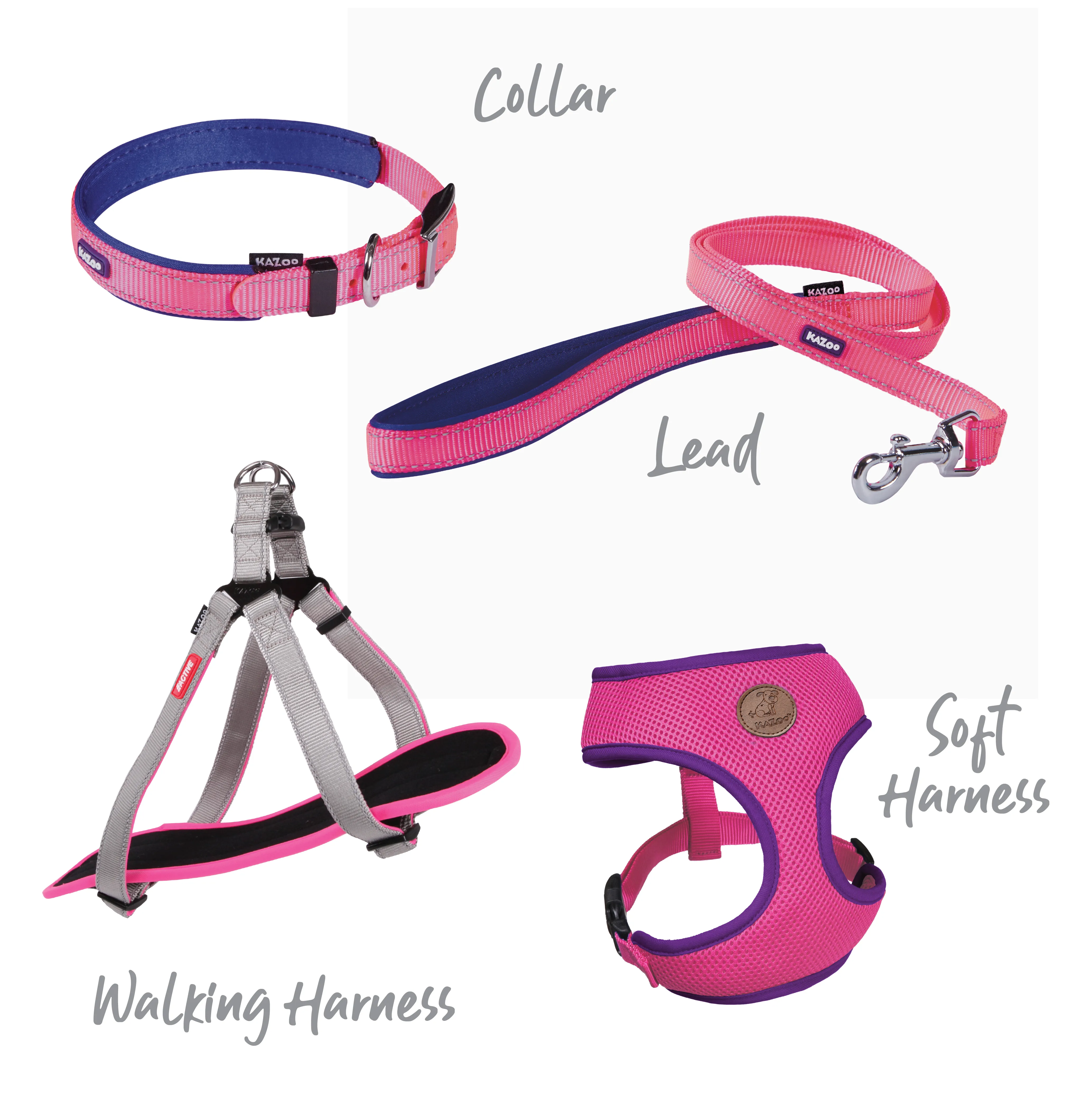 Active Dog Collar - Bloom Burst