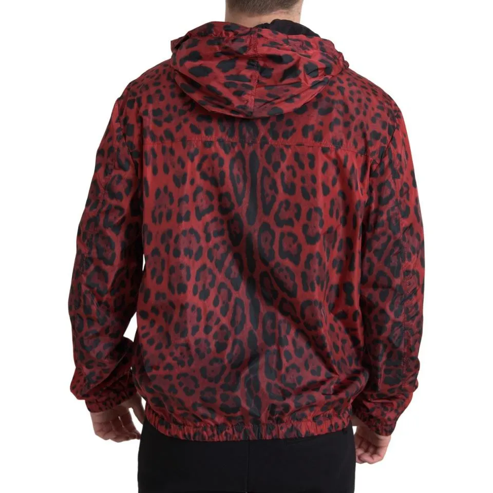 Dolce & Gabbana Red Leopard Hooded Bomber Jacket