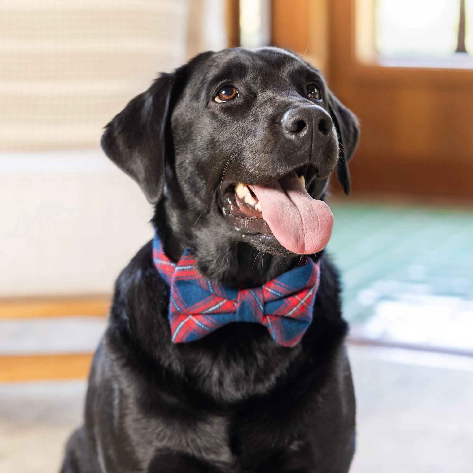 Kingston Plaid Flannel Dog Bow Tie