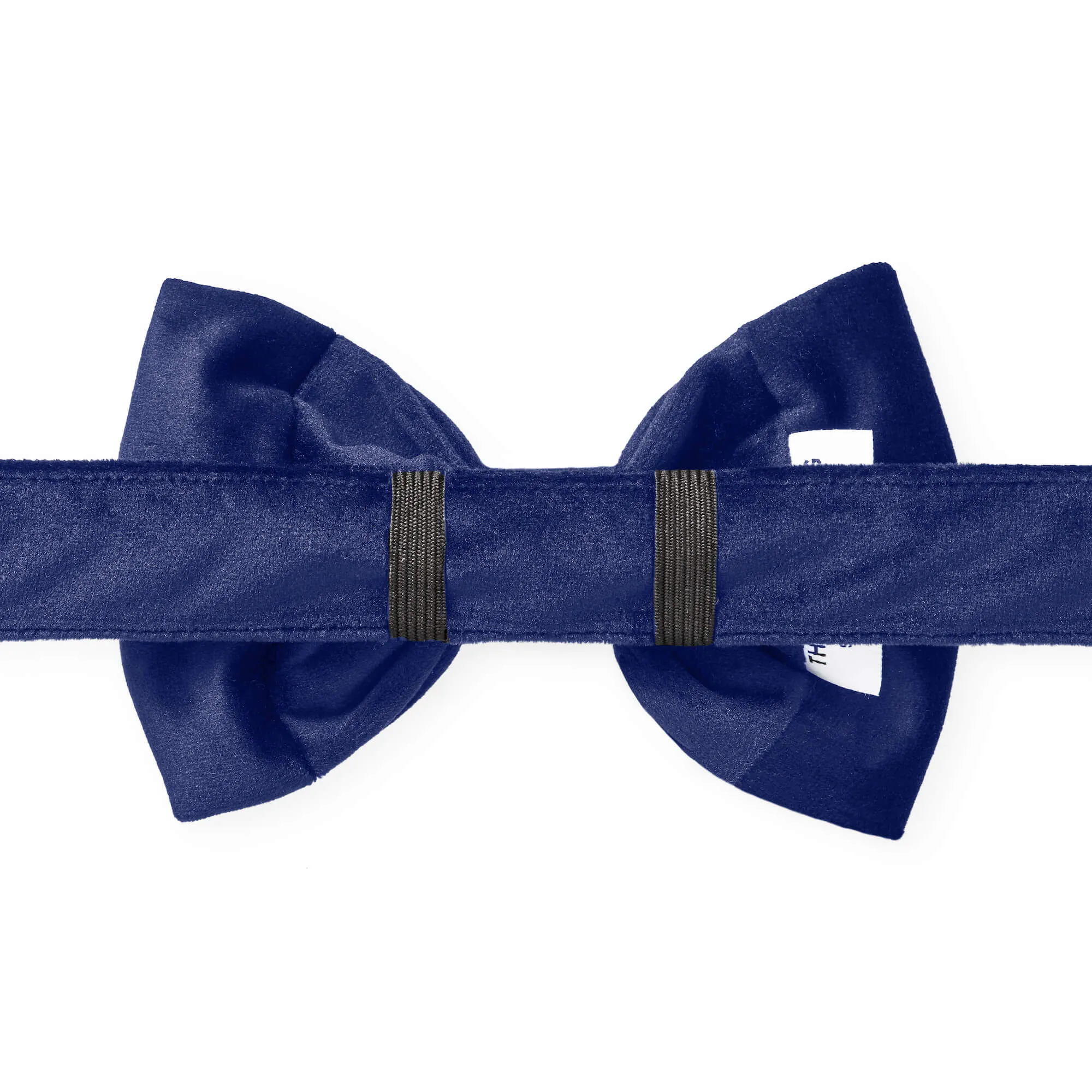 Navy Velvet Bow Tie Collar