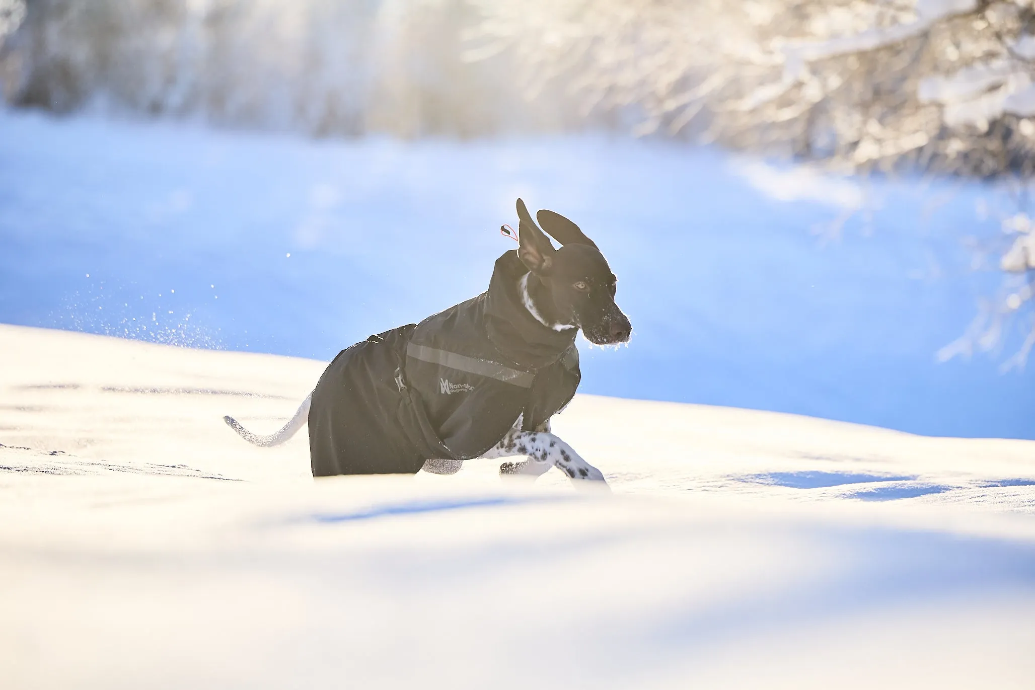 Non-stop - Trekking Insulated Dog Jacket *Black Friday Offer*